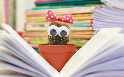 短信轰炸网页版